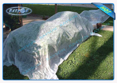 Anti de polypropylène textile tissé UV non pour le jardin Mat Agriculture Non Woven Cover de lutte contre les mauvaises herbes