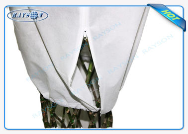 Tissu non-tissé non tissé de matériel de sac de tissu de couverture d'agriculture de pp Spunbond